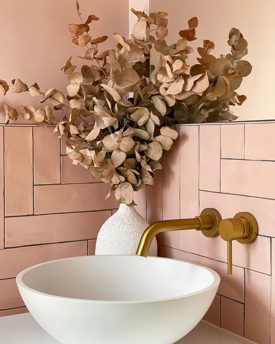 Farrow and Ball 230 bathroom inspo