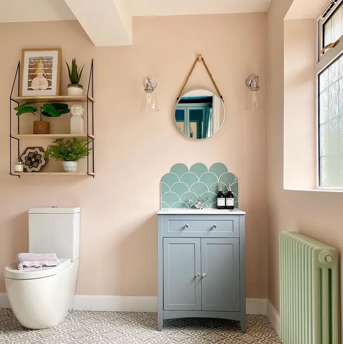 Farrow and Ball Calamine bathroom color