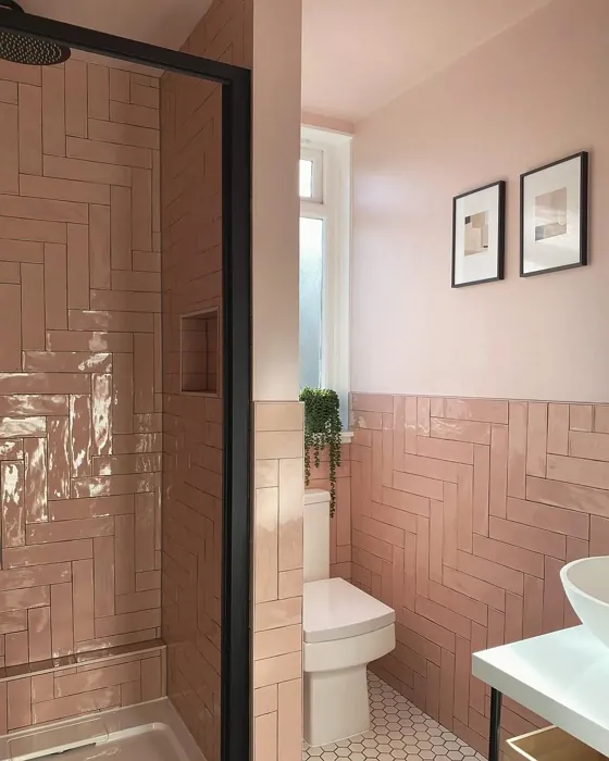 Farrow and Ball Calamine bathroom interior