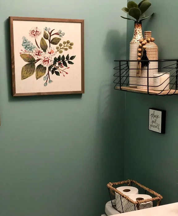 Sherwin Williams Calico bathroom review