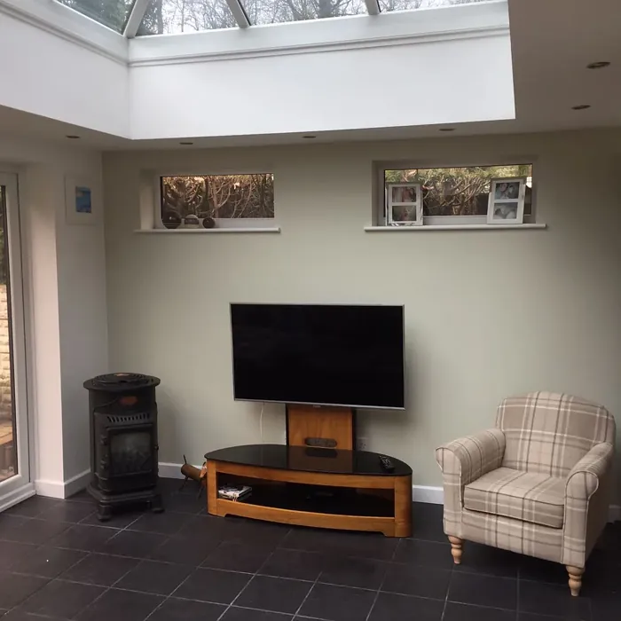 Jurassic Stone living room accent wall