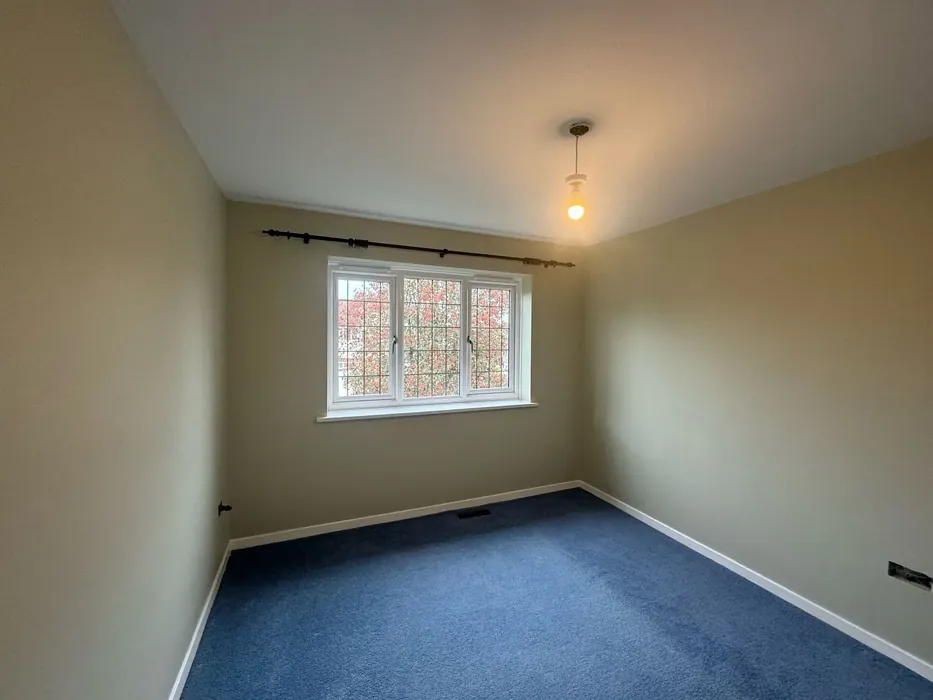 70YY 65/090 wall paint 