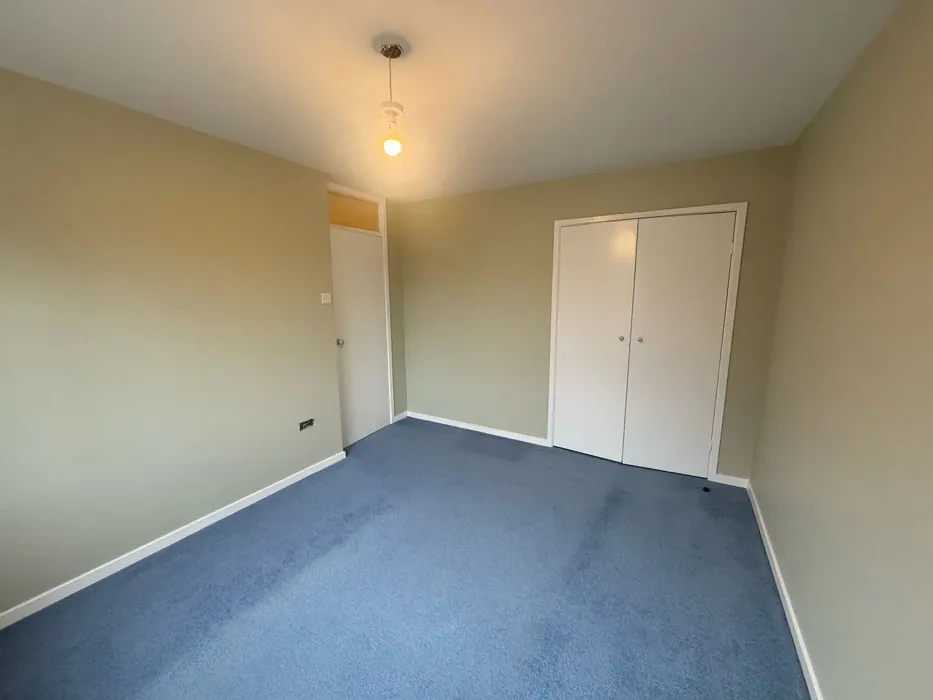 70YY 65/090 wall paint review