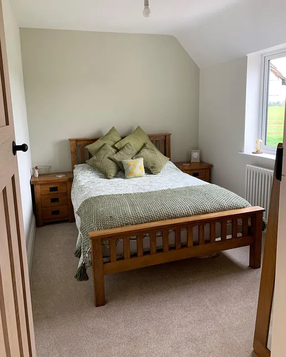 Dulux Gooseberry Fool 5 bedroom accent wall 