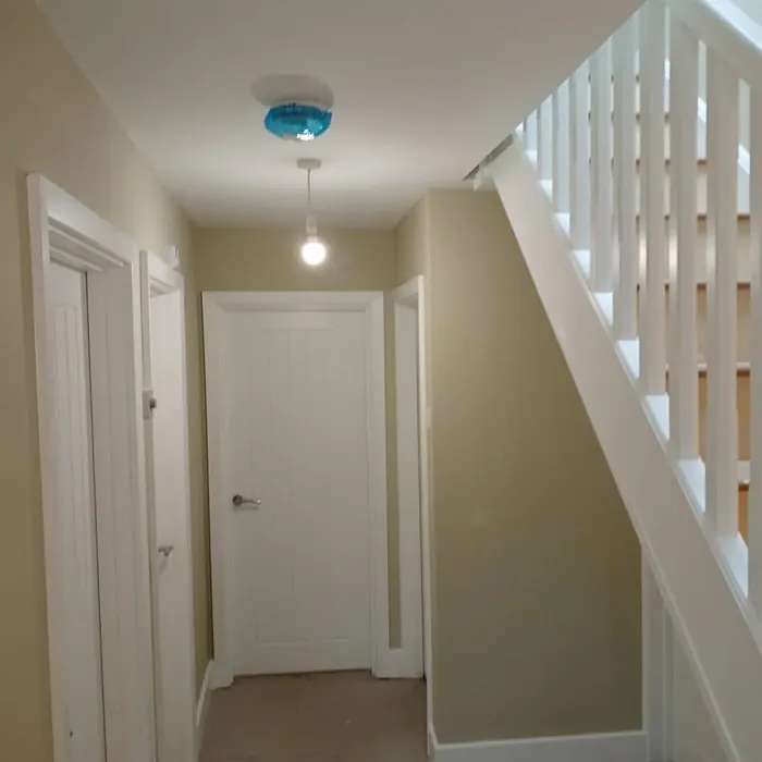 Dulux Gooseberry Fool 5 hallway paint