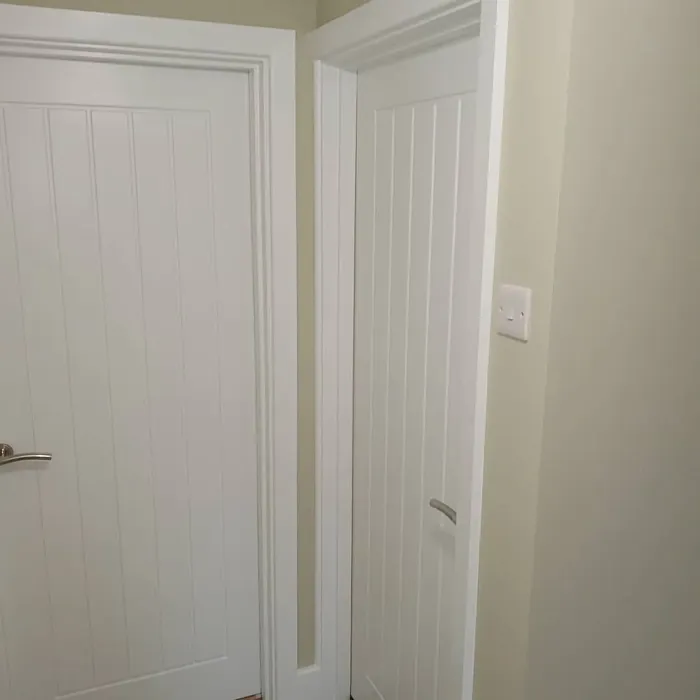 Dulux Gooseberry Fool 5 wall paint 