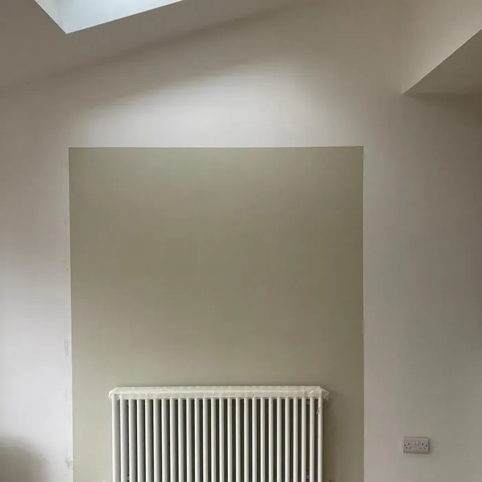 Dulux Jurassic Stone paint color-block