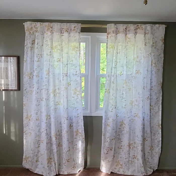 Sherwin Williams Canal Street wall paint review