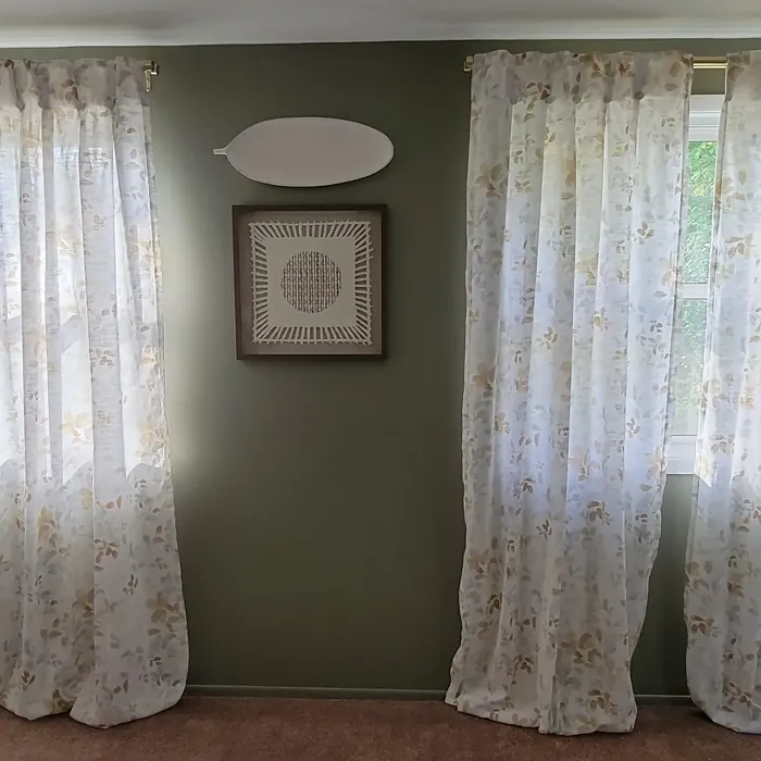 Sherwin Williams Canal Street wall paint color review