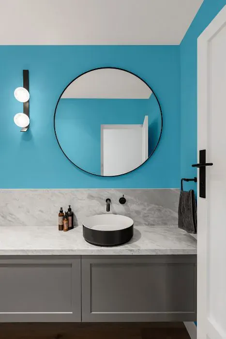 Sherwin Williams Candid Blue minimalist bathroom