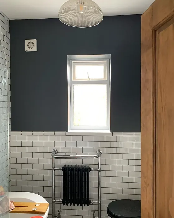 Dulux Cannon Ball bathroom color review