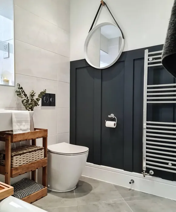 Dulux Cannon Ball bathroom wall panelling color