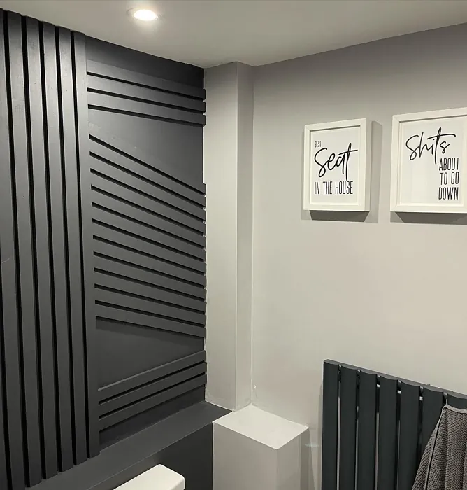 Dulux Cannon Ball bathroom accent wall