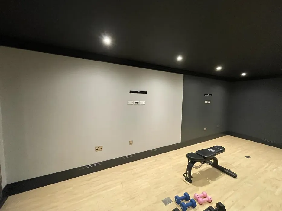 Dulux Cannon Ball gym area