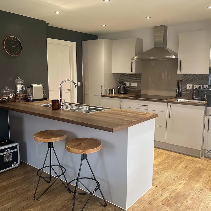 Dulux 90BG 11/016 kitchen accent wall