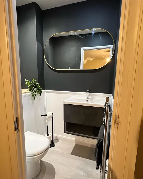 Dulux 90BG 11/016 bathroom color