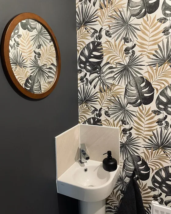 Dulux Cannon Ball bathroom picture