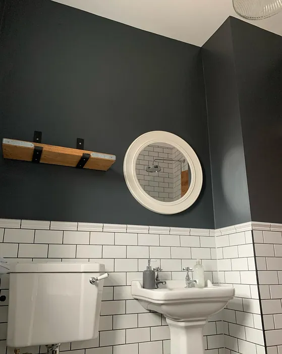 Dulux Cannon Ball bathroom color