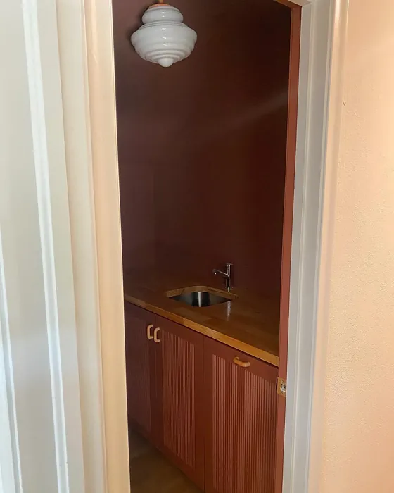 Sherwin Williams Canyon Clay laundry room color