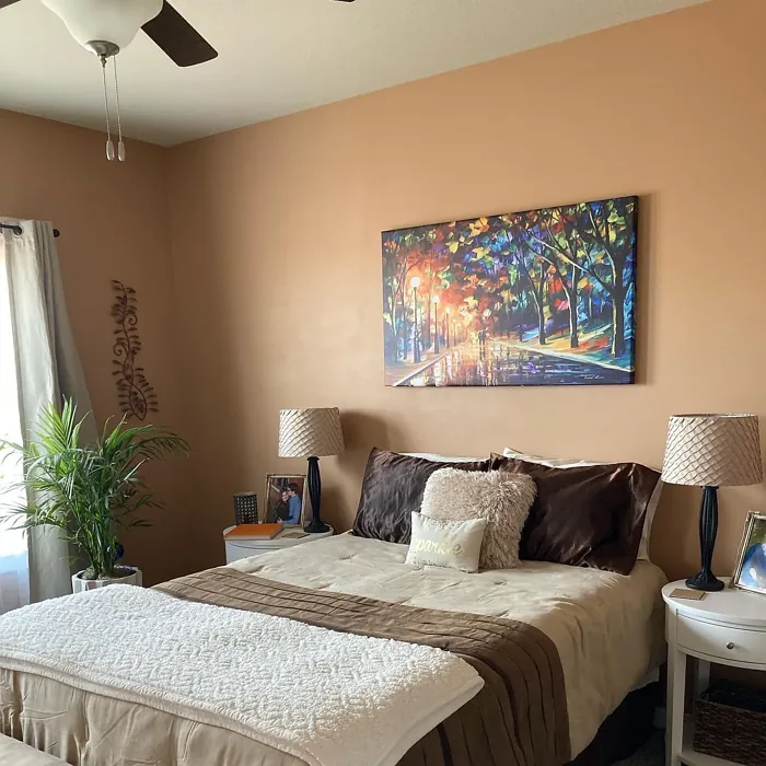 Behr Canyon Dusk cozy bedroom paint review