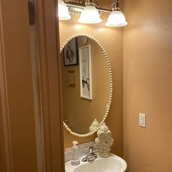 Behr S210-4 cozy bathroom review