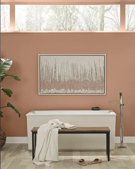 Canyon Dusk bathroom paint review