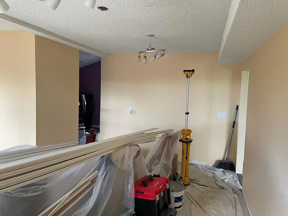 Sherwin Williams Captivating Cream wall paint 