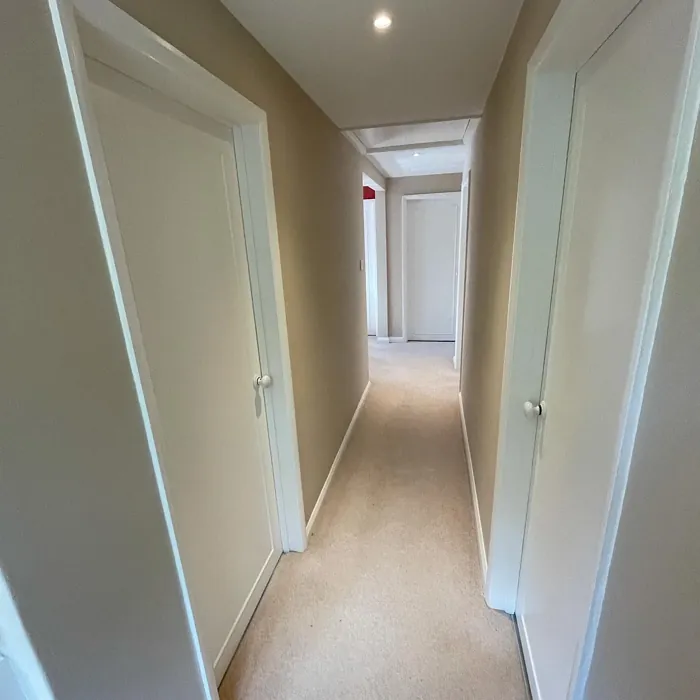 Caramel Latte hallway interior