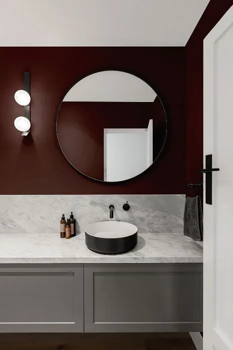 Sherwin Williams Carnelian minimalist bathroom