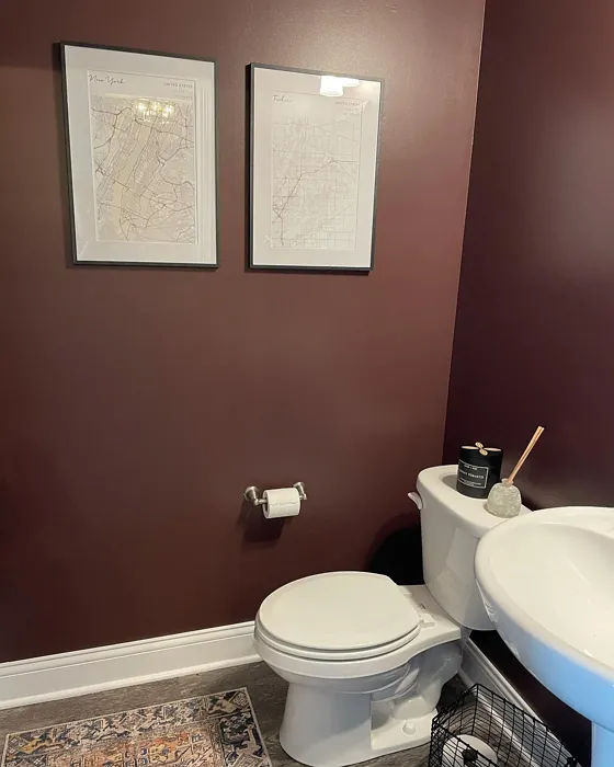 Sherwin Williams Carnelian bathroom color review