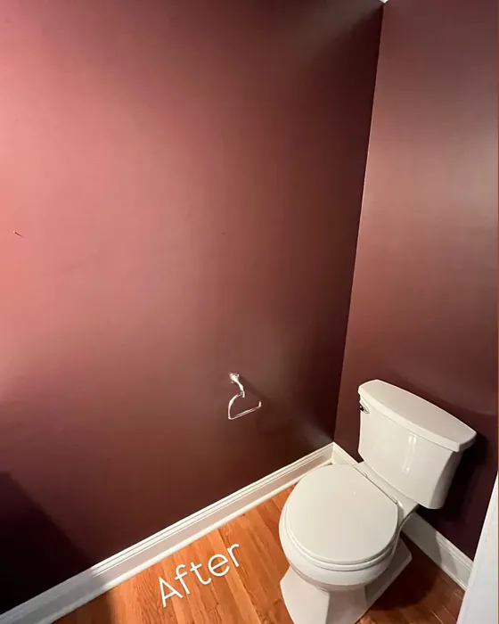 Sherwin Williams Carnelian bathroom 