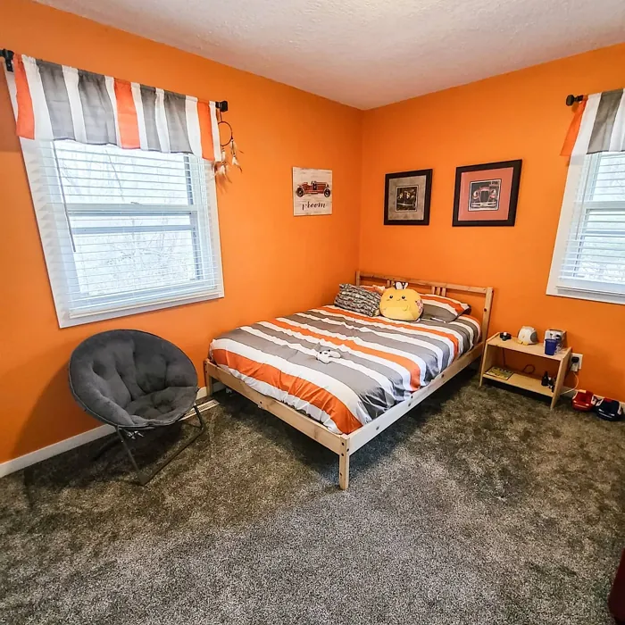 Sherwin Williams Carnival kids' room 