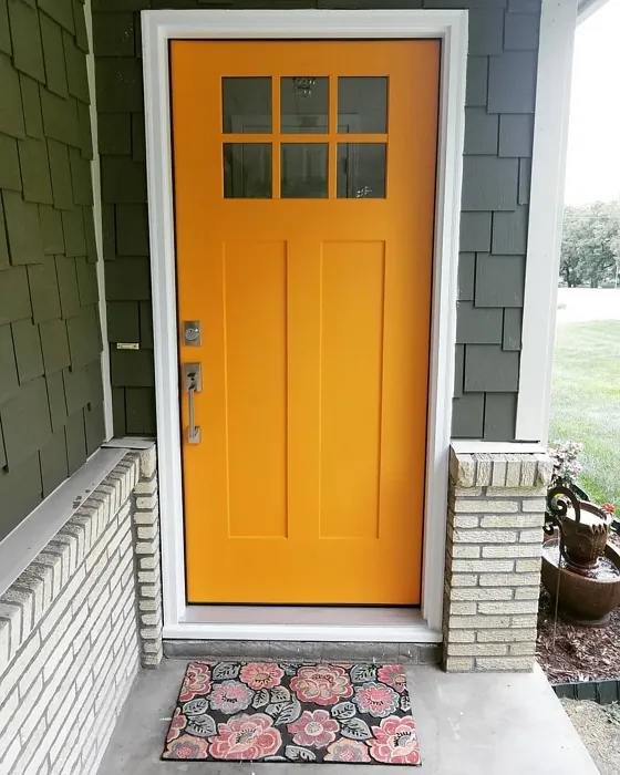 SW Carnival front door 