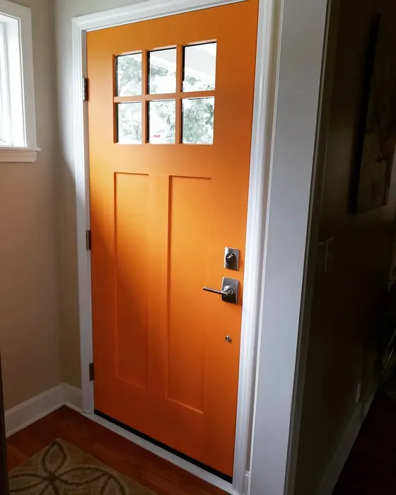 SW Carnival front door color review