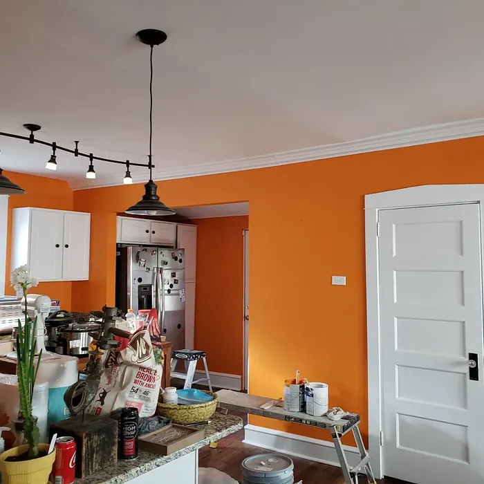 SW Carnival kitchen interior