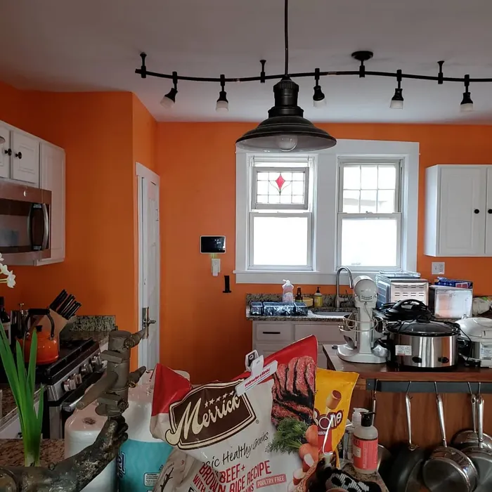 SW Carnival kitchen color review