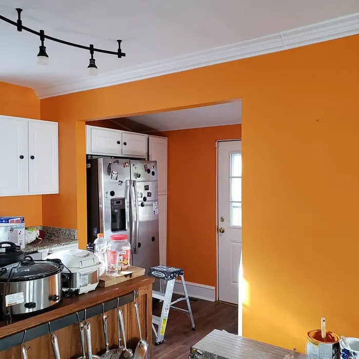 SW Carnival kitchen paint review