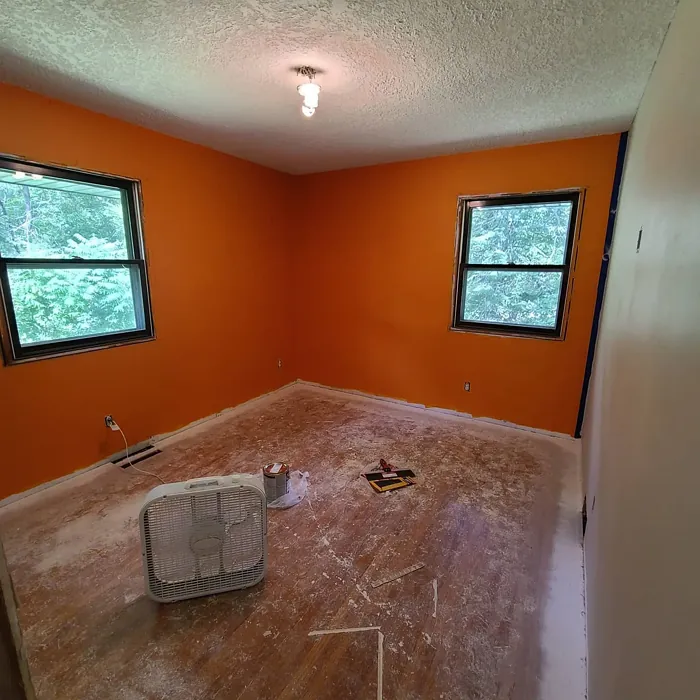 SW Carnival wall paint makeover