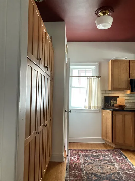 SW Carriage Door ceiling color