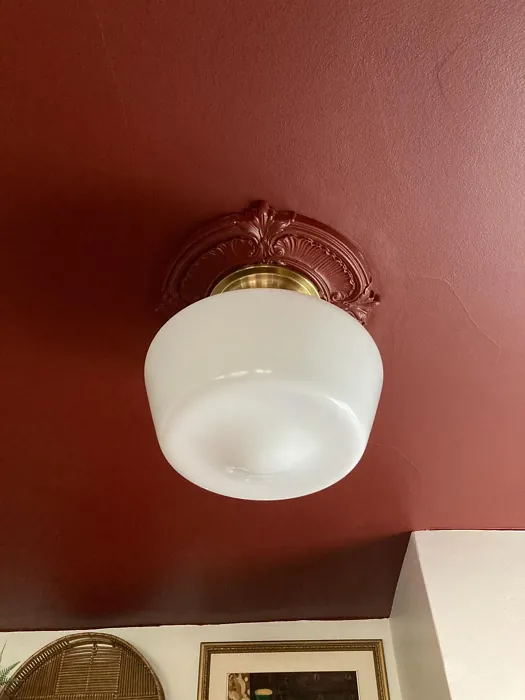 Sherwin Williams Carriage Door ceiling color