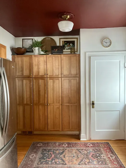 Sherwin Williams Carriage Door ceiling paint