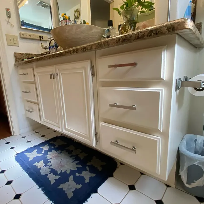 SW 7571 bathroom vanity color