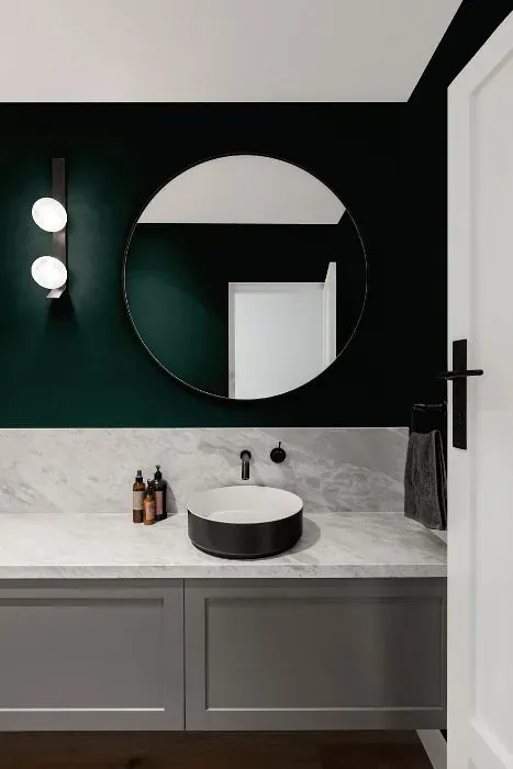 Sherwin Williams Cascades minimalist bathroom