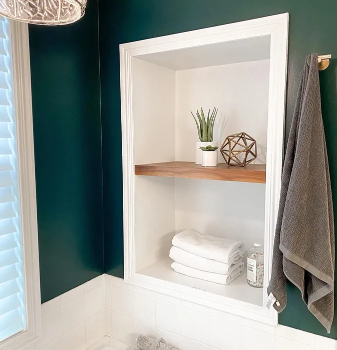 Sherwin Williams Cascades cozy bathroom color review