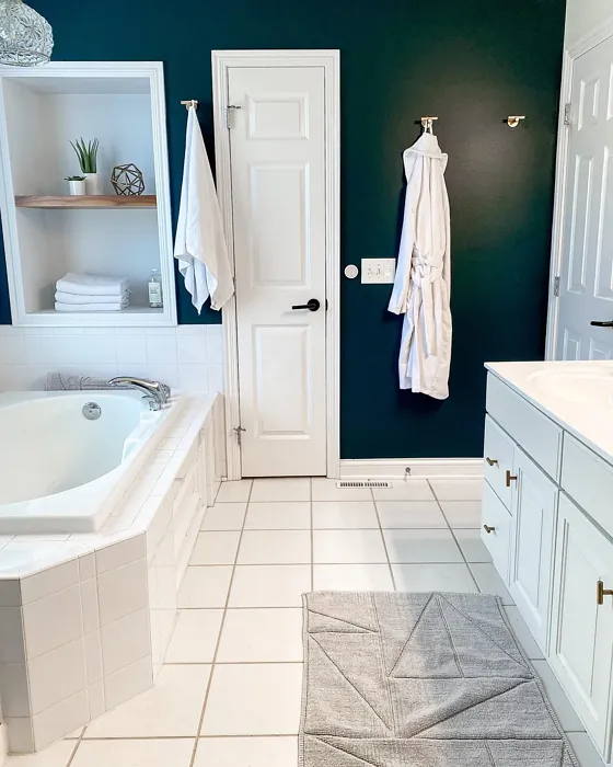SW Cascades cozy bathroom paint review
