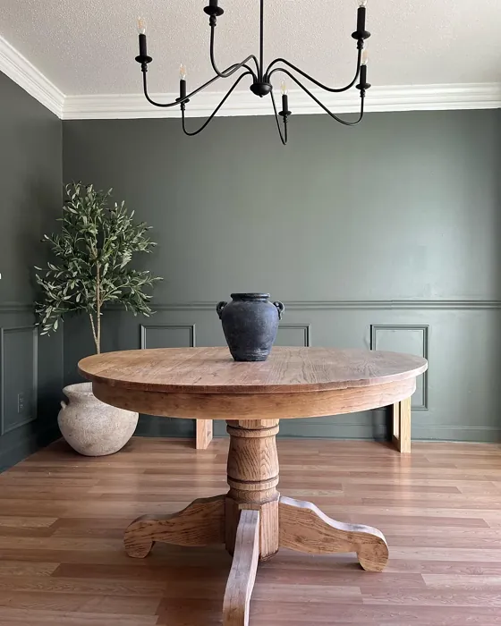 Sherwin Williams Cast Iron dining room interior