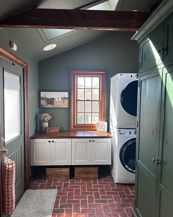 Sherwin Williams Cast Iron laundry room 