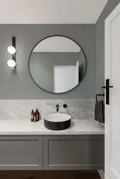 Sherwin Williams Castlegate minimalist bathroom