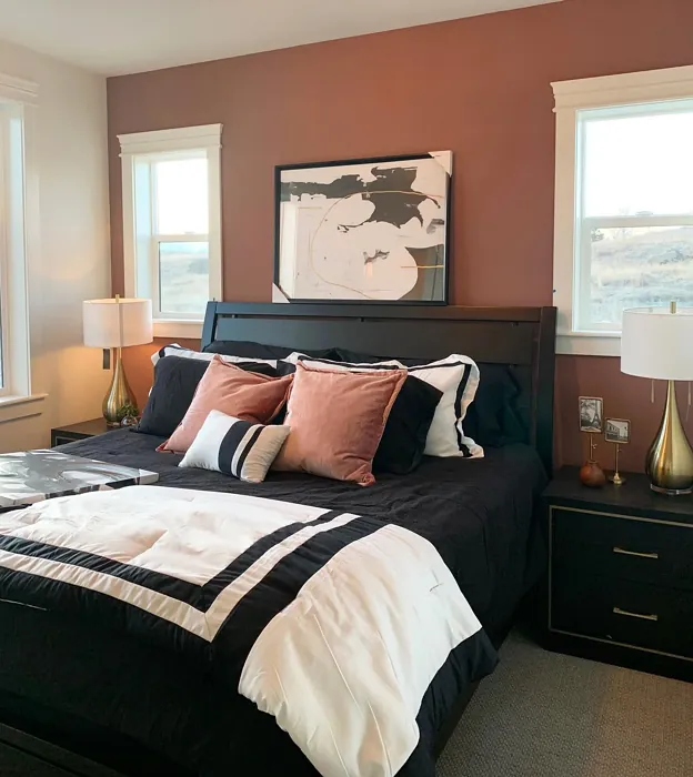 Sherwin Williams Cavern Clay Bedroom Accent Wall