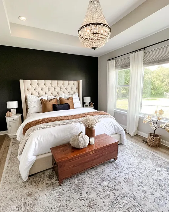 SW Caviar bedroom accent wall 